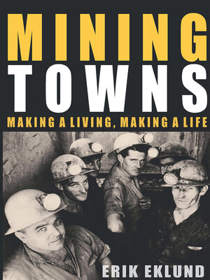 cover image of Mining Towns